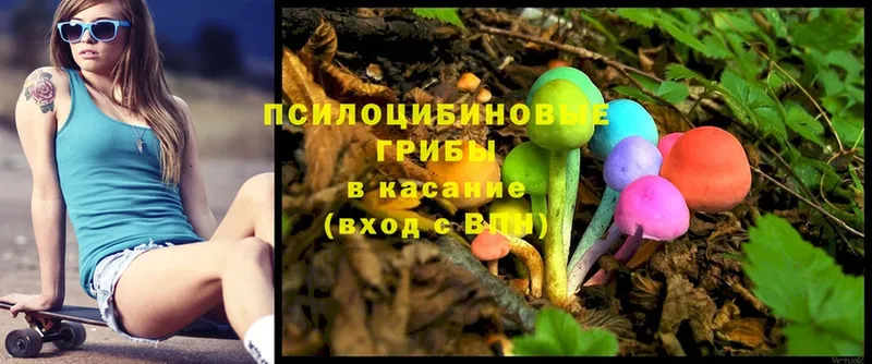 Псилоцибиновые грибы Magic Shrooms  купить  цена  Катайск 